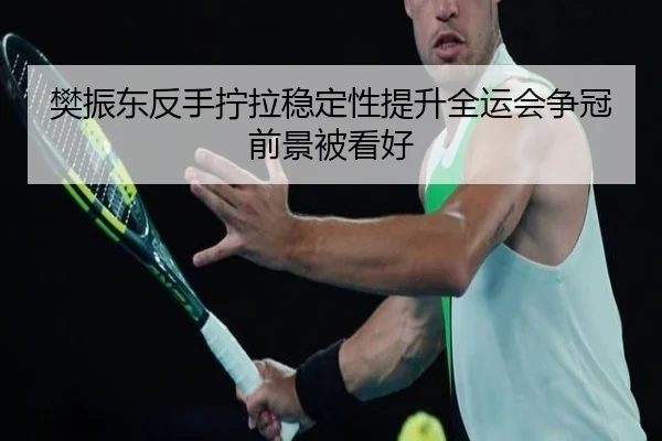 樊振东反手拧拉稳定性提升全运会争冠前景被看好 - FBSPORTS